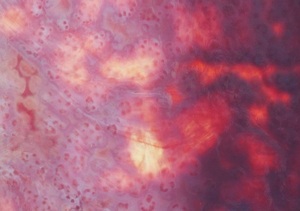 Quelle est la meilleure manière d'intégrer des accessoires en résine dans un look quotidien?